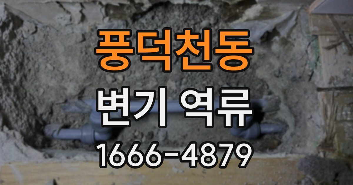 풍덕천동 변기 역류