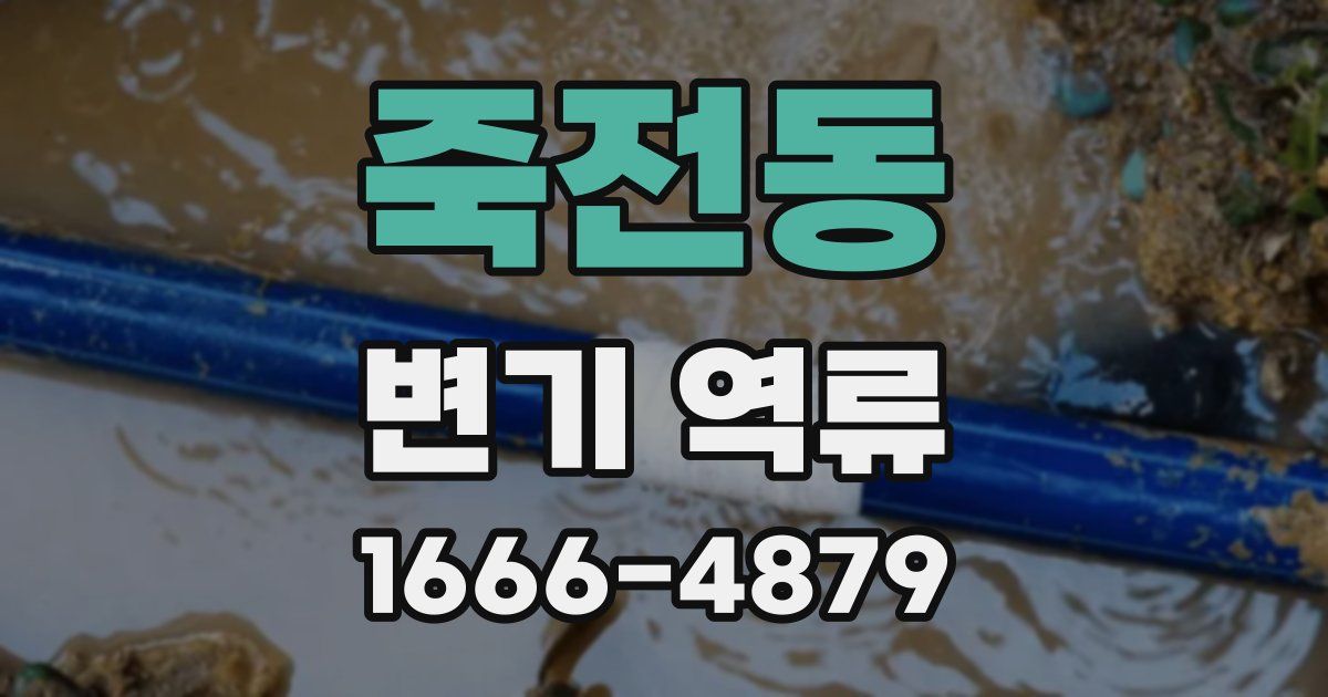 죽전동 변기 역류