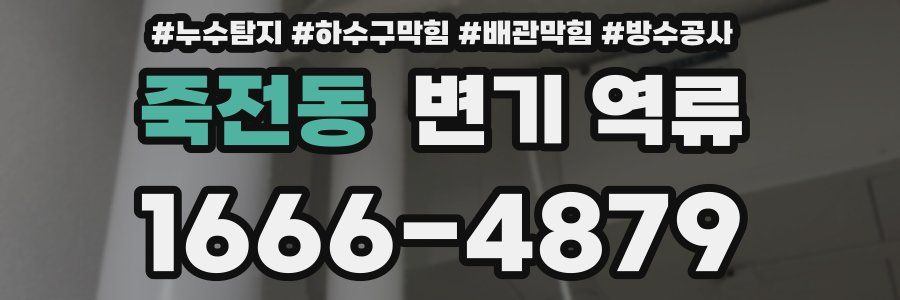 죽전동 변기 역류