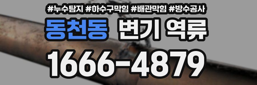동천동 변기 역류