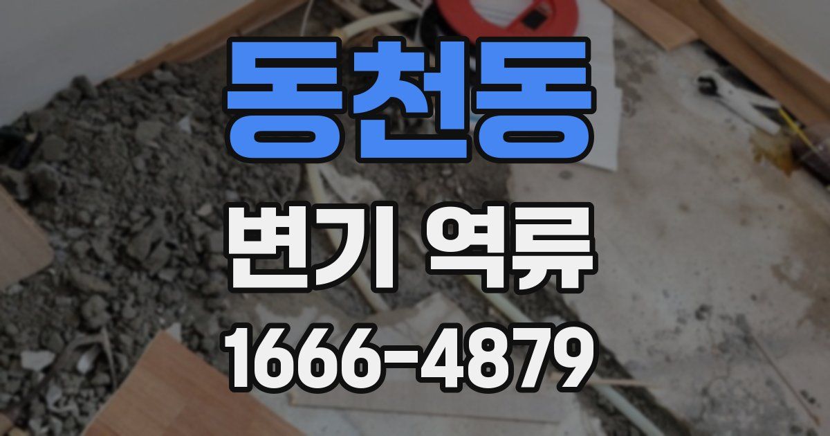 동천동 변기 역류