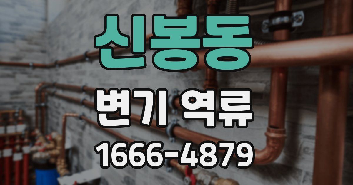 신봉동 변기 역류