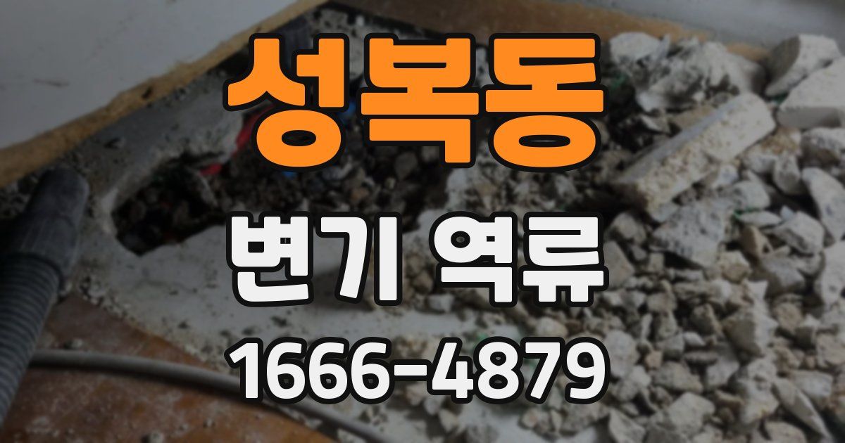 성복동 변기 역류