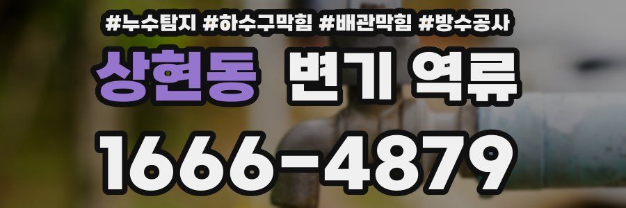 상현동 변기 역류