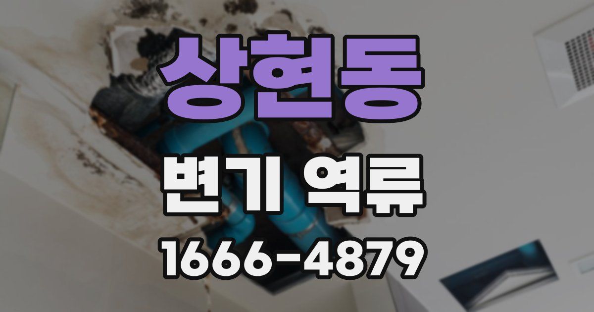 상현동 변기 역류