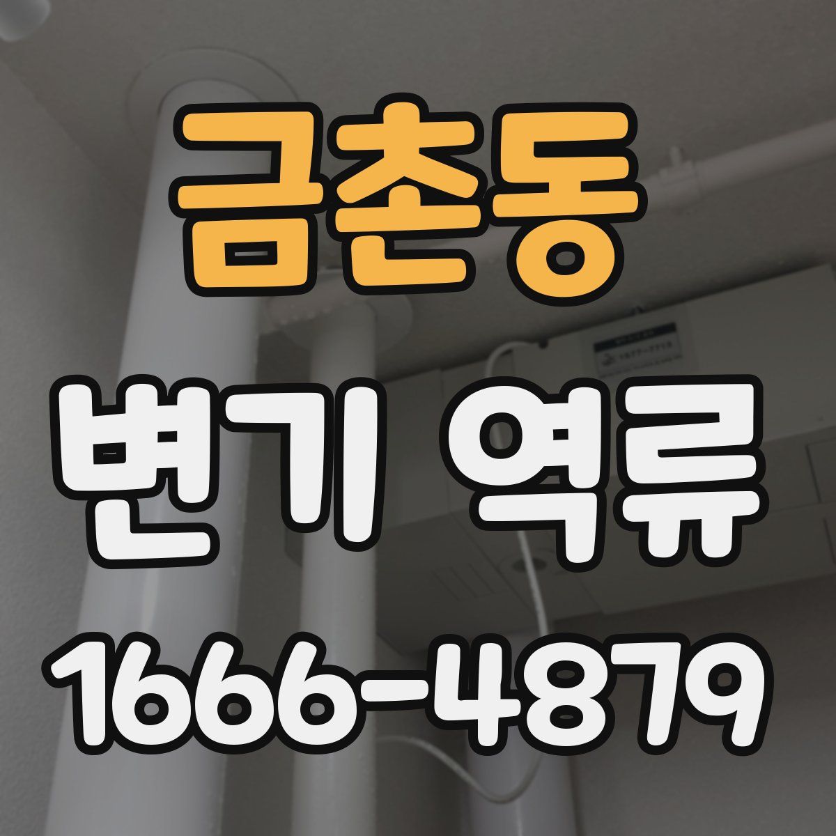 금촌동 변기 역류