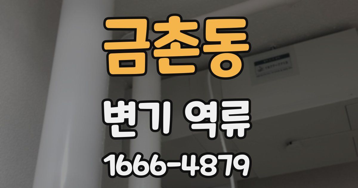 금촌동 변기 역류