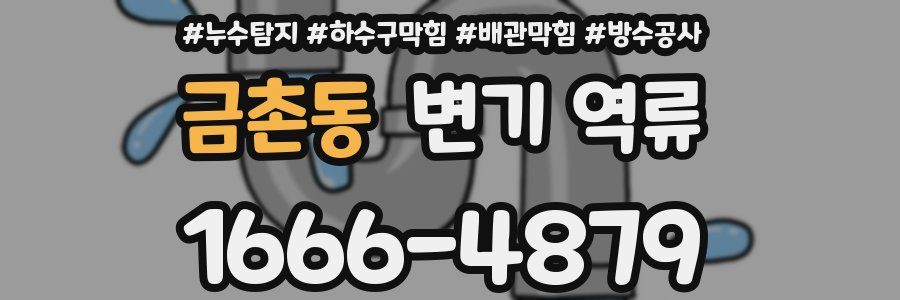 금촌동 변기 역류