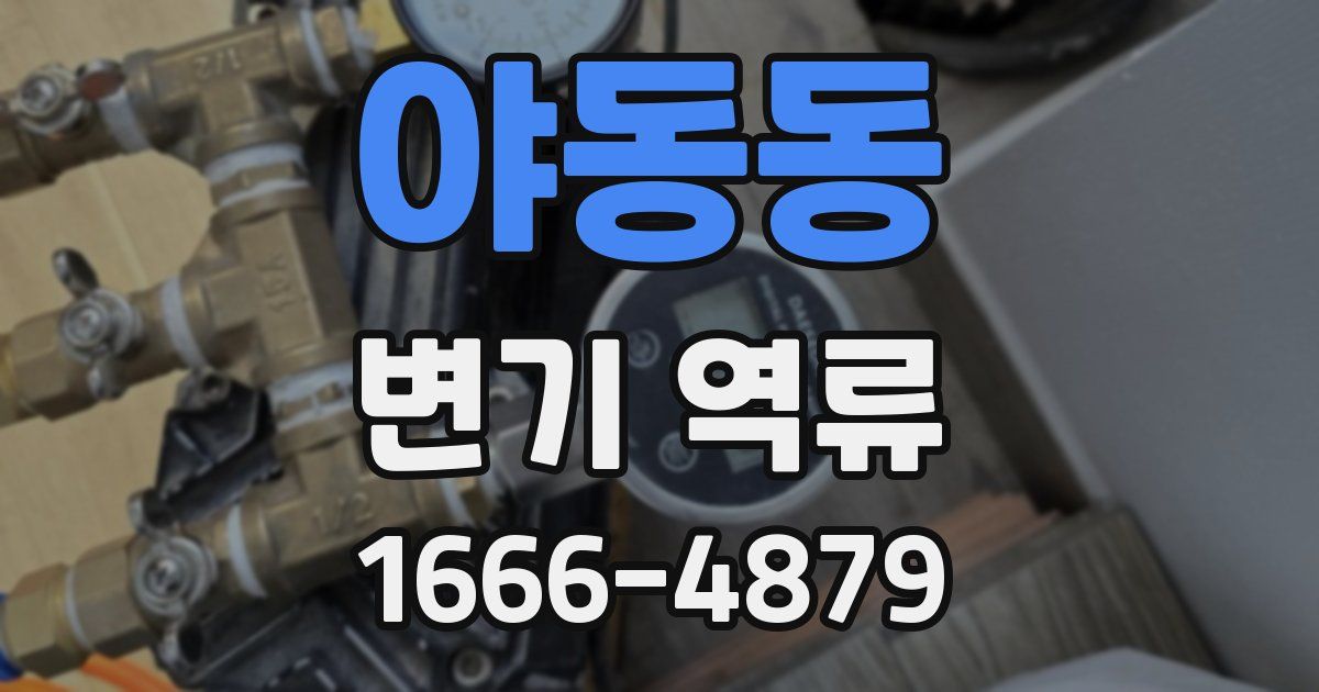 야동동 변기 역류