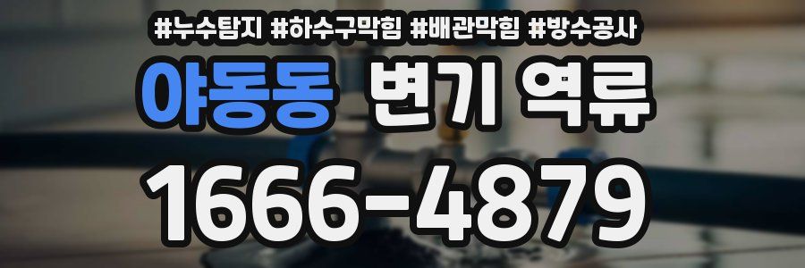 야동동 변기 역류