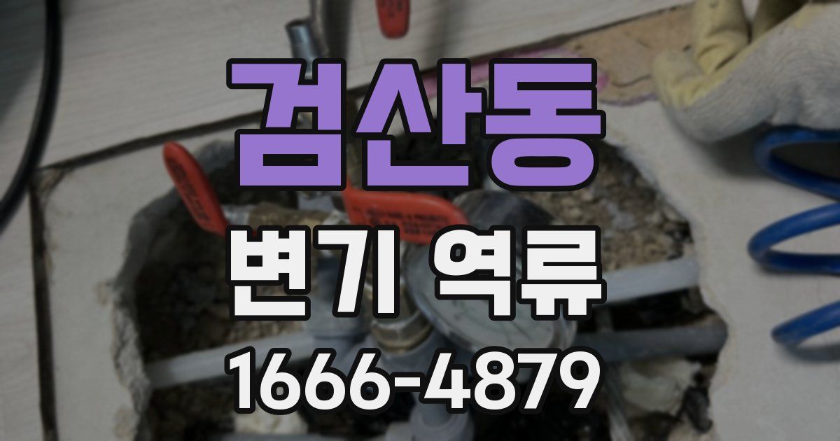 검산동 변기 역류
