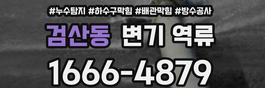 검산동 변기 역류