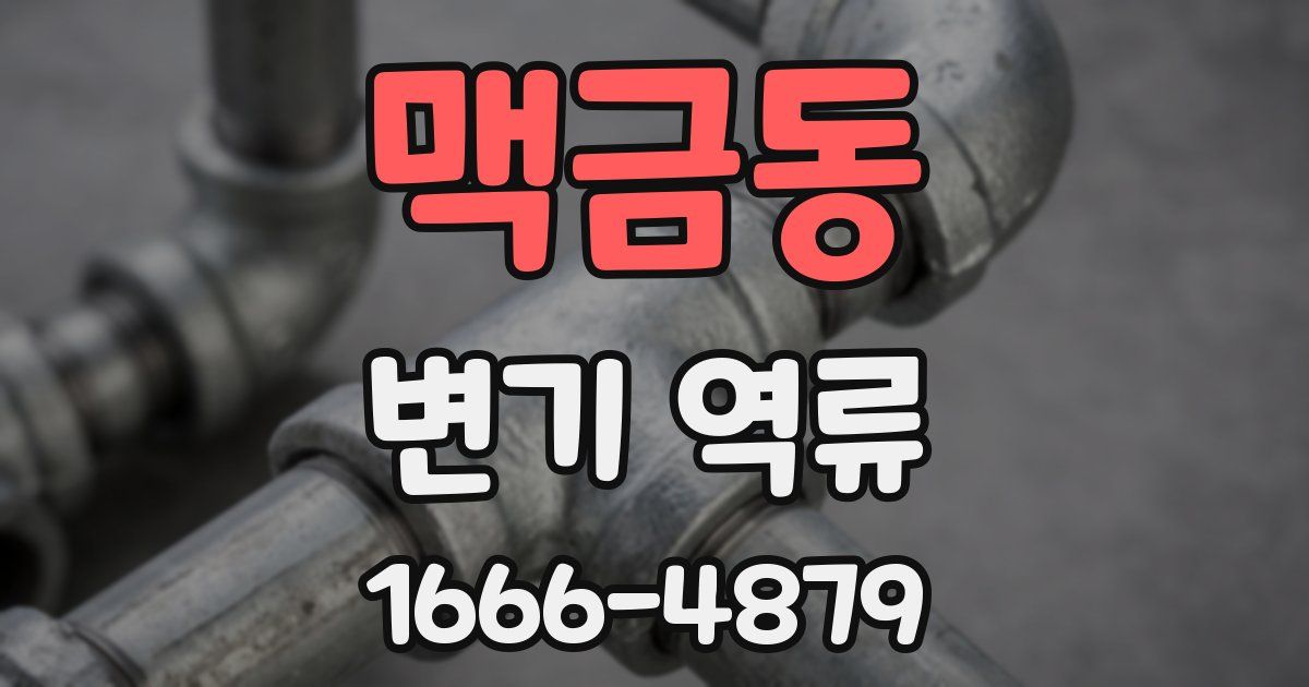 맥금동 변기 역류
