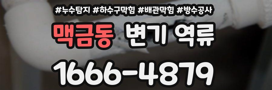 맥금동 변기 역류