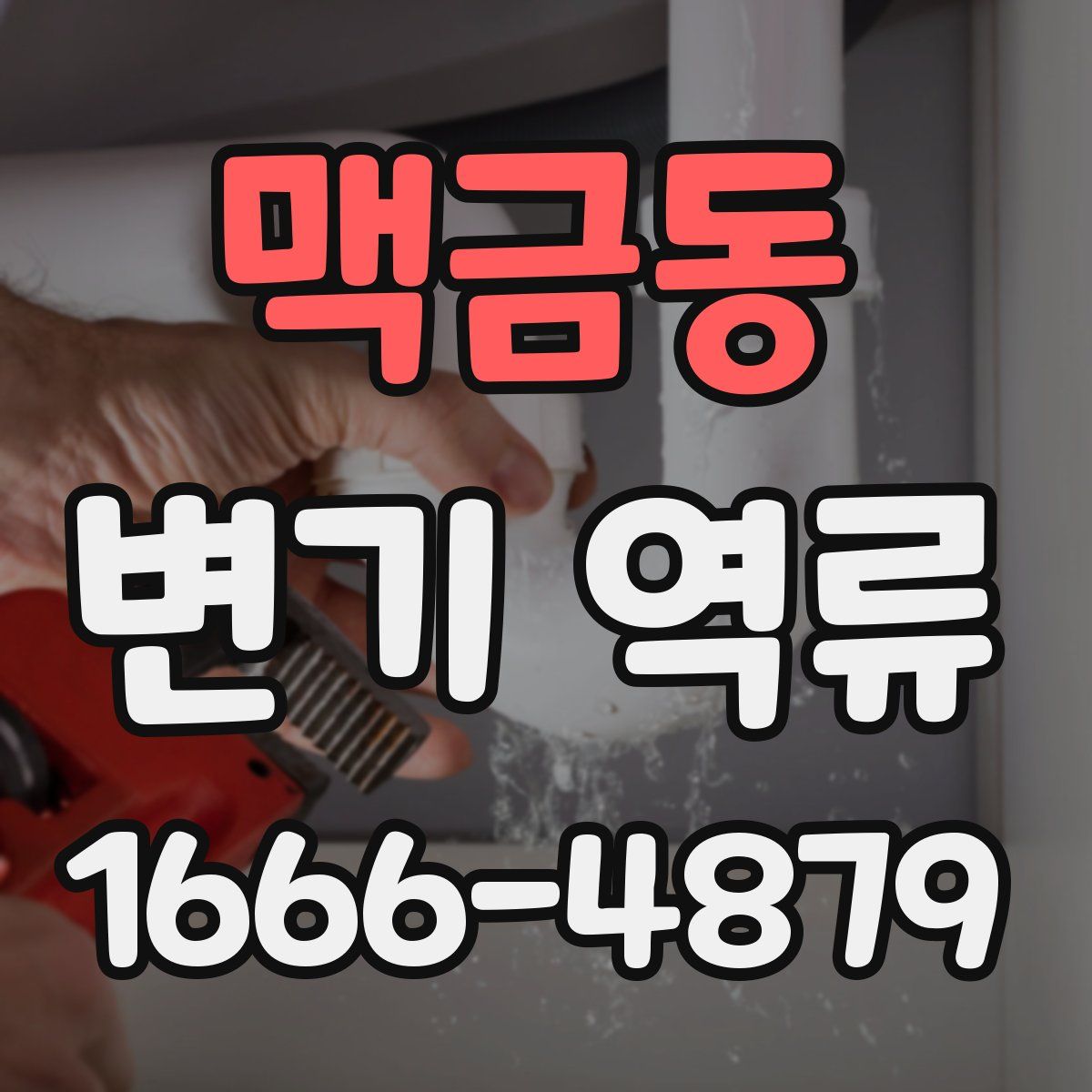맥금동 변기 역류