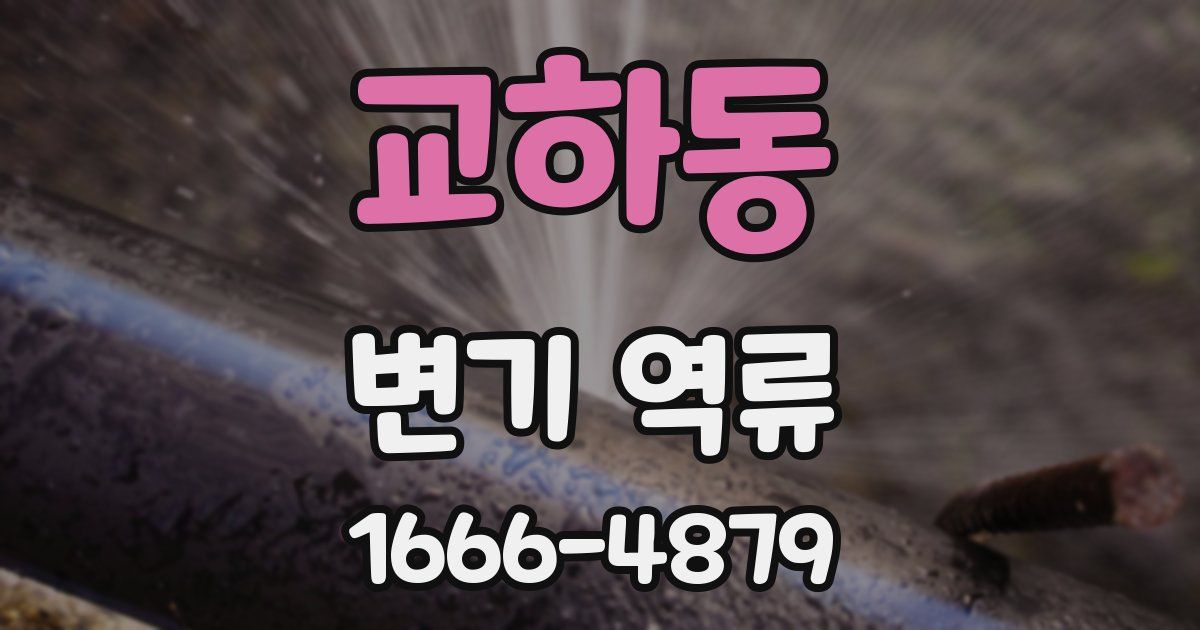 교하동 변기 역류