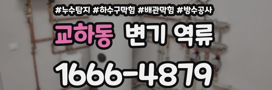 교하동 변기 역류