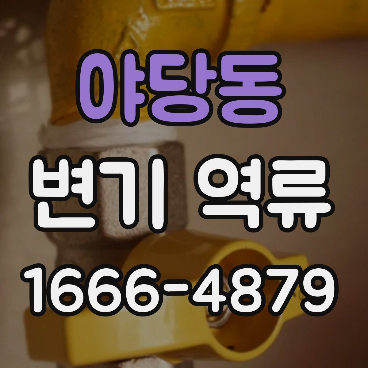 야당동 변기 역류 예방과 관리에 필요한 정보