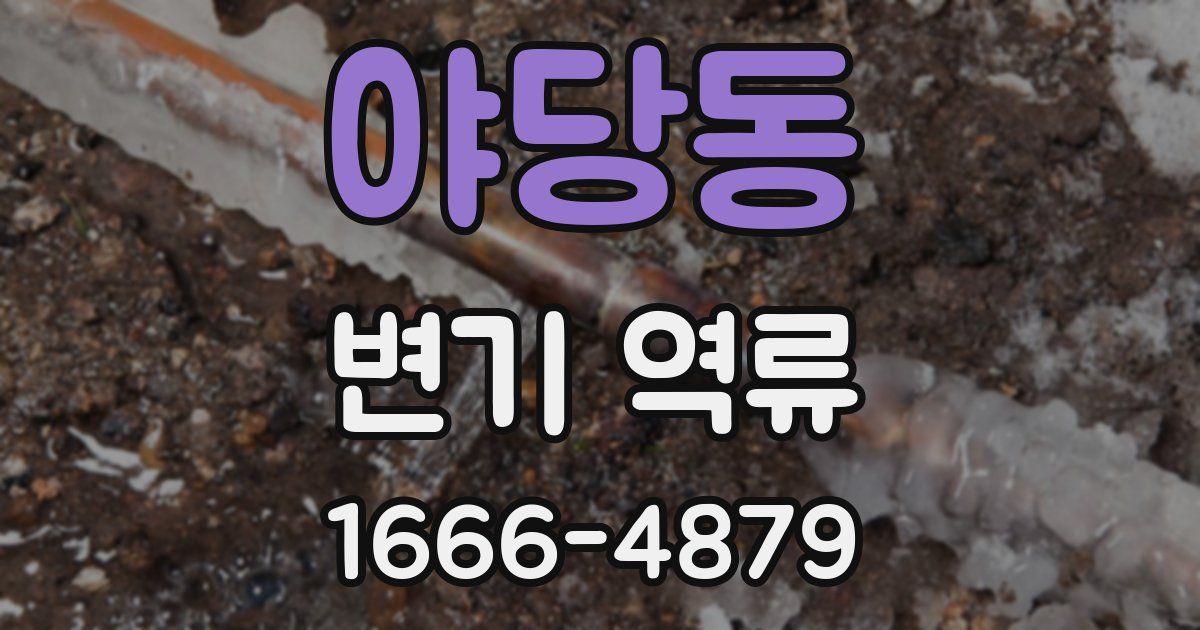 야당동 변기 역류