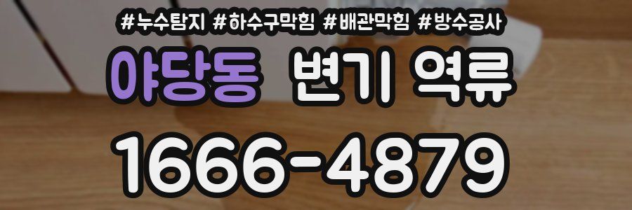 야당동 변기 역류