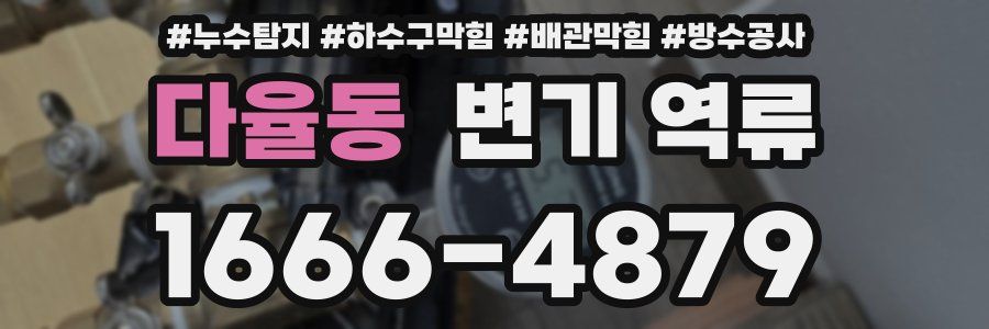 다율동 변기 역류