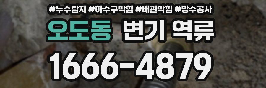 오도동 변기 역류