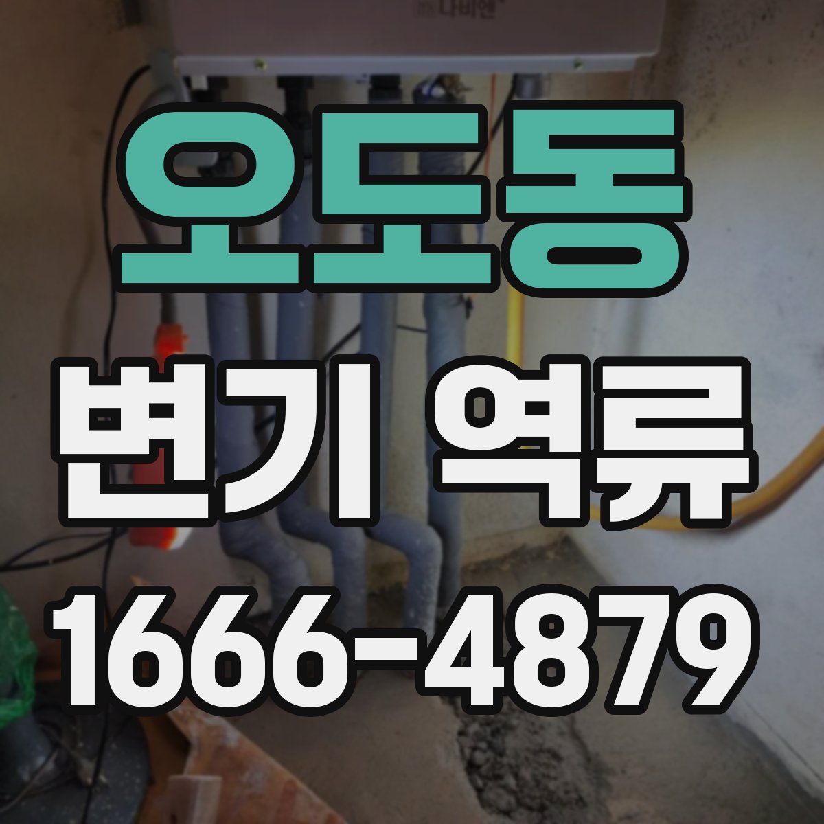오도동 변기 역류