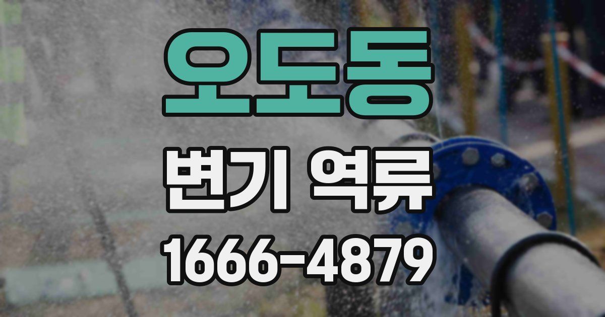 오도동 변기 역류