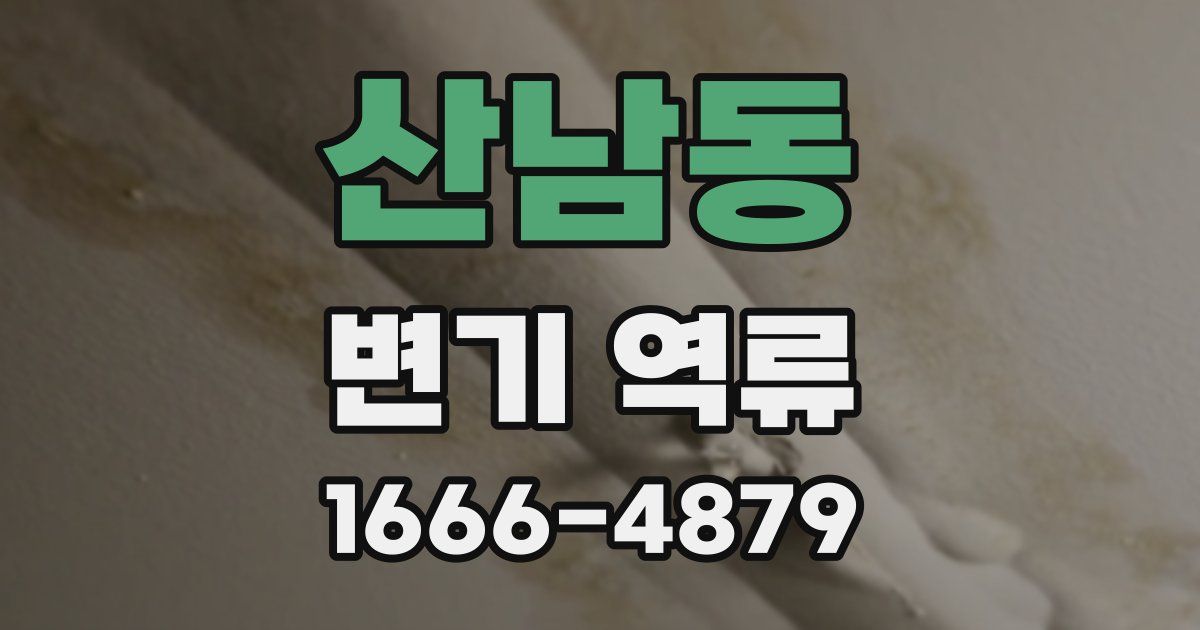 산남동 변기 역류