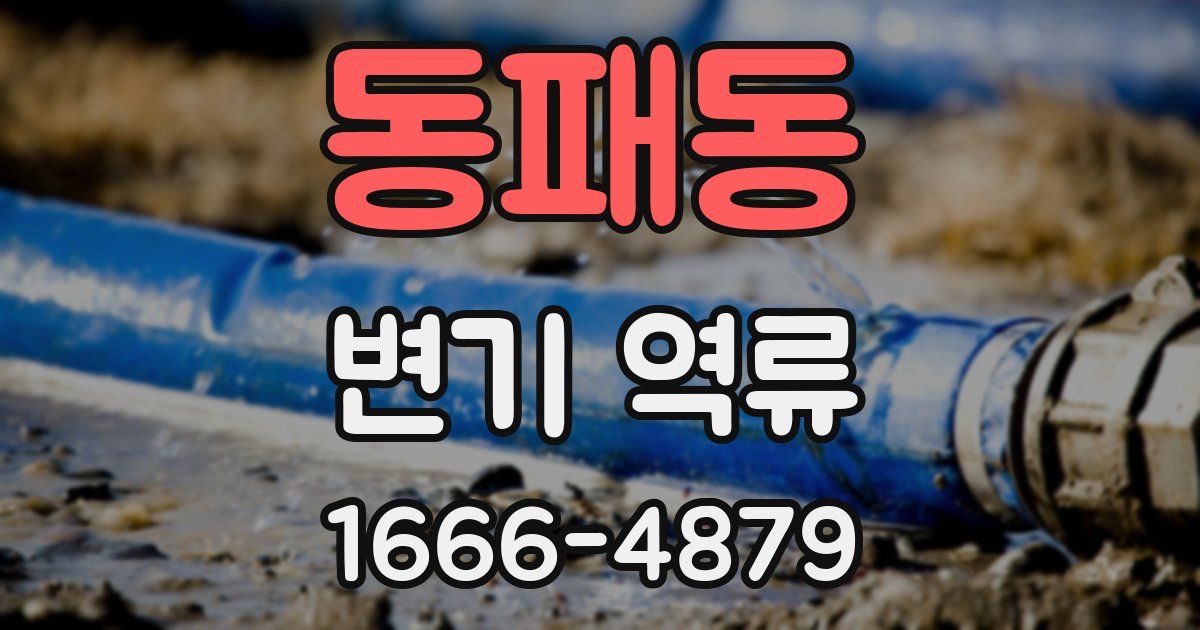 동패동 변기 역류