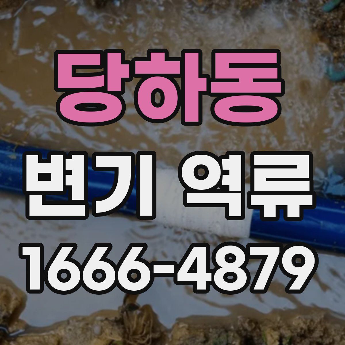 당하동 변기 역류