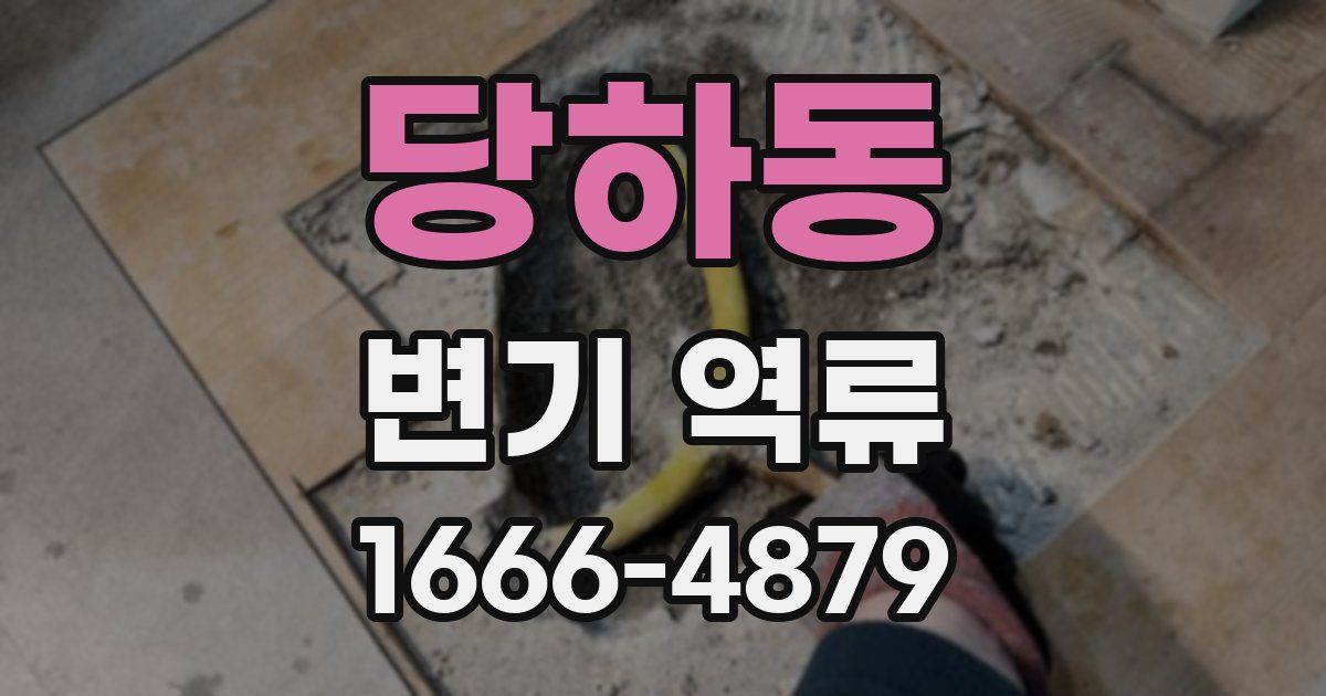 당하동 변기 역류