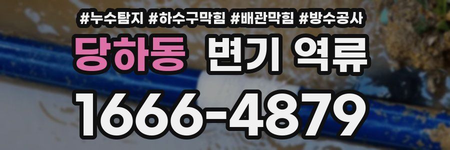 당하동 변기 역류