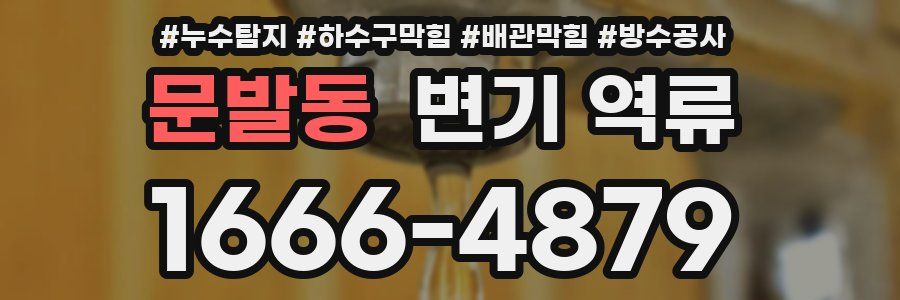 문발동 변기 역류