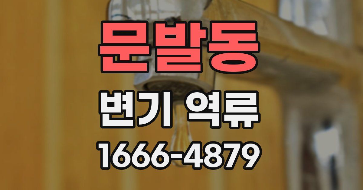 문발동 변기 역류