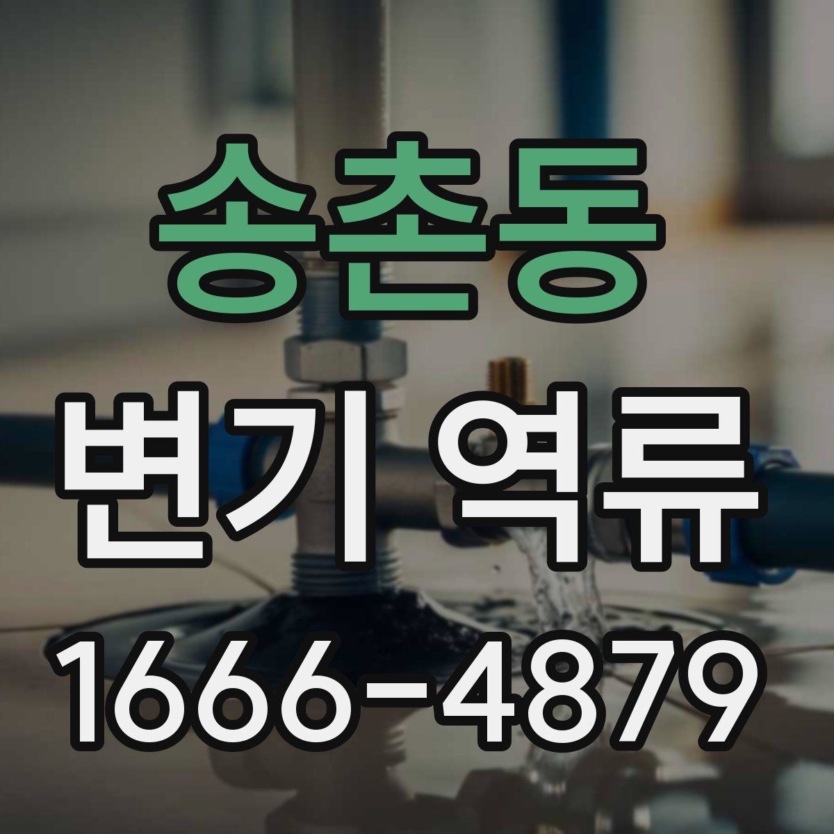 송촌동 변기 역류
