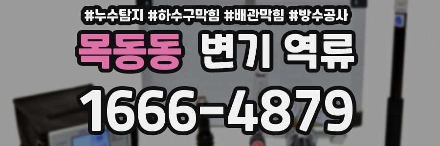 목동동 변기 역류
