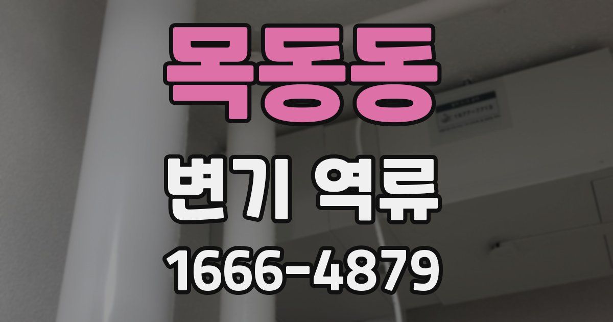 목동동 변기 역류