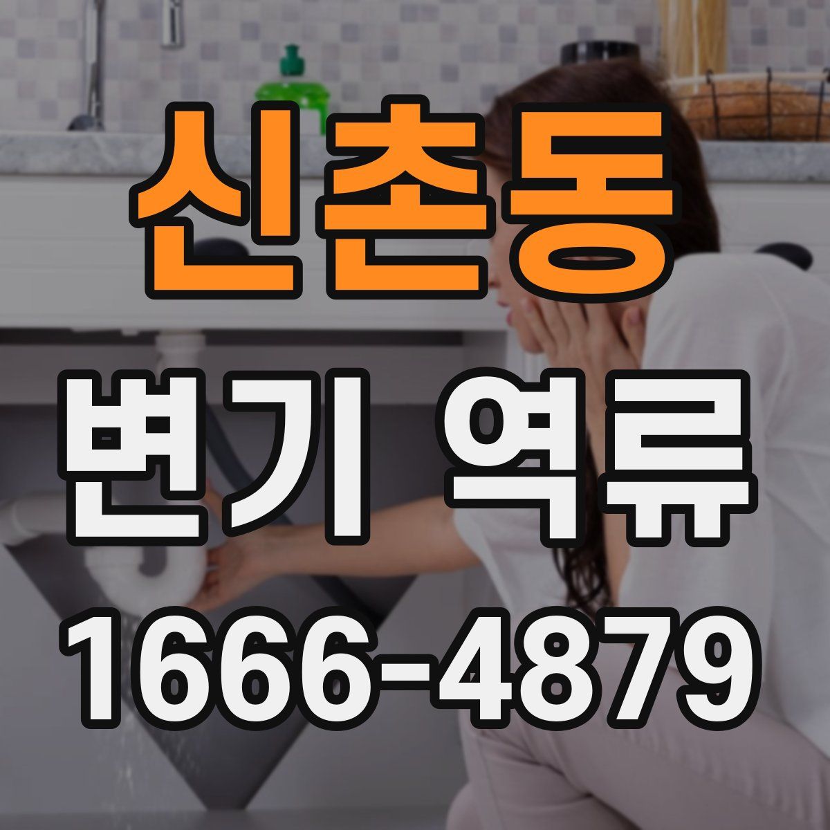 신촌동 변기 역류