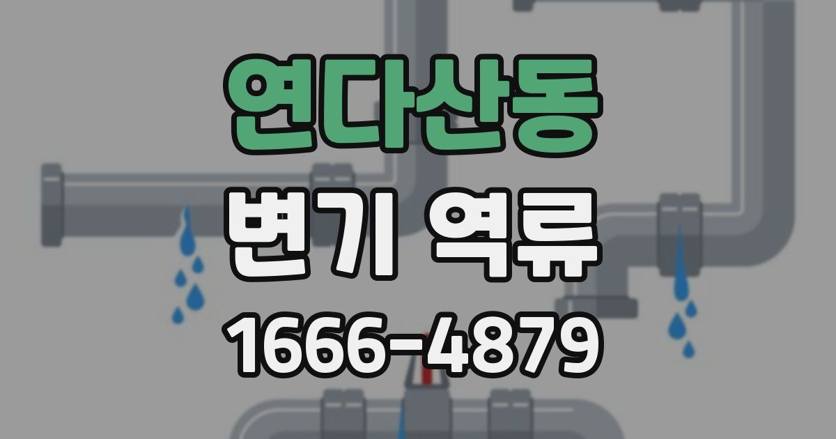 연다산동 변기 역류