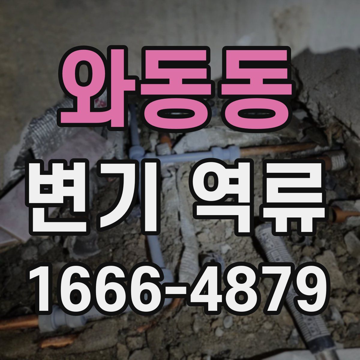 와동동 변기 역류