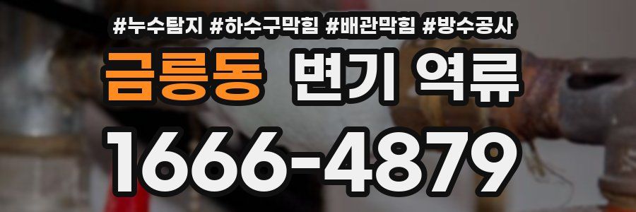금릉동 변기 역류