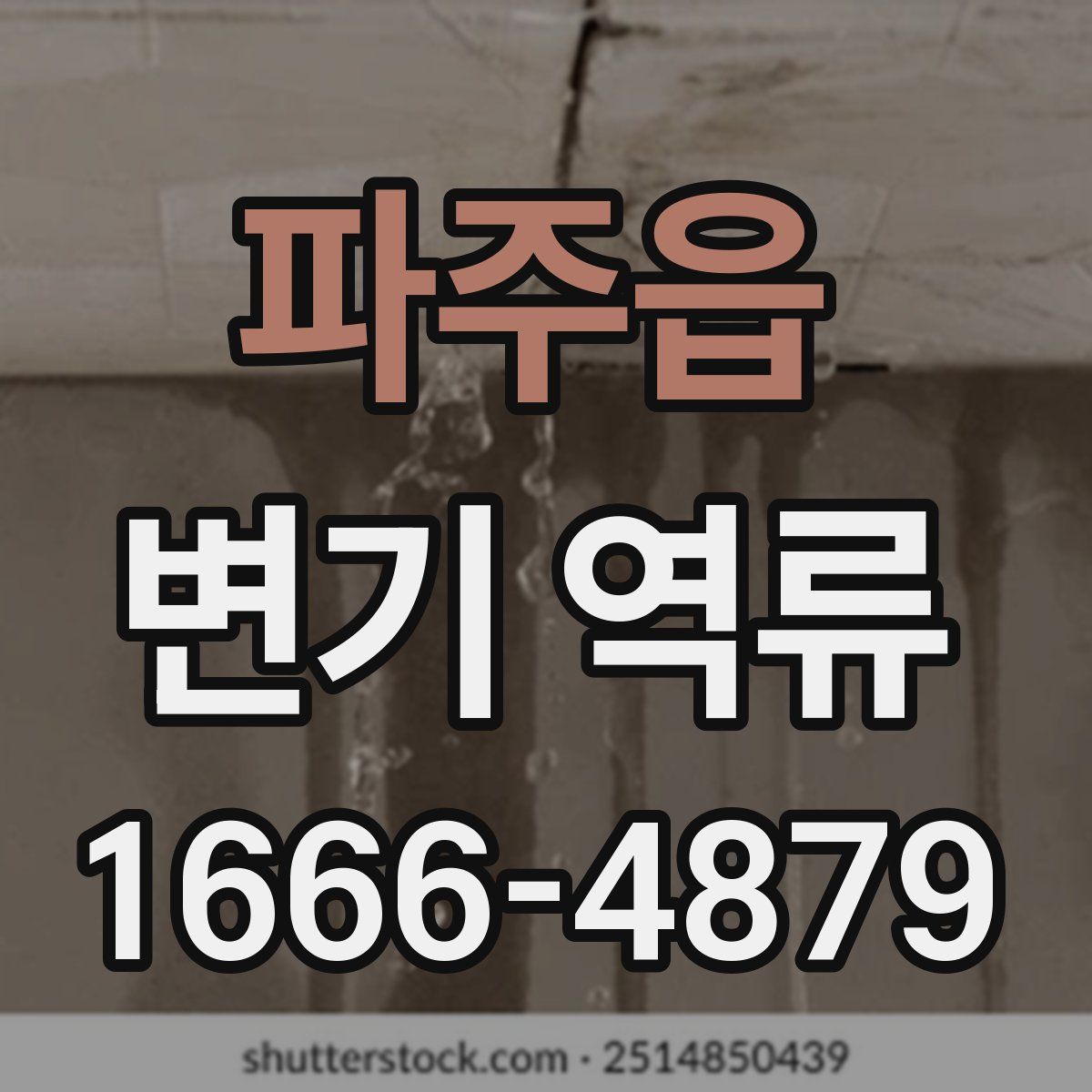 파주읍 변기 역류