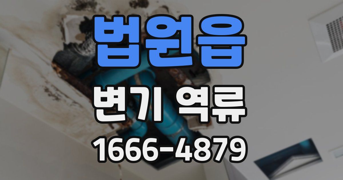법원읍 변기 역류