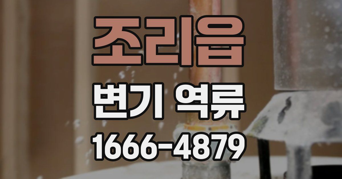 조리읍 변기 역류