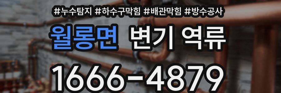 월롱면 변기 역류