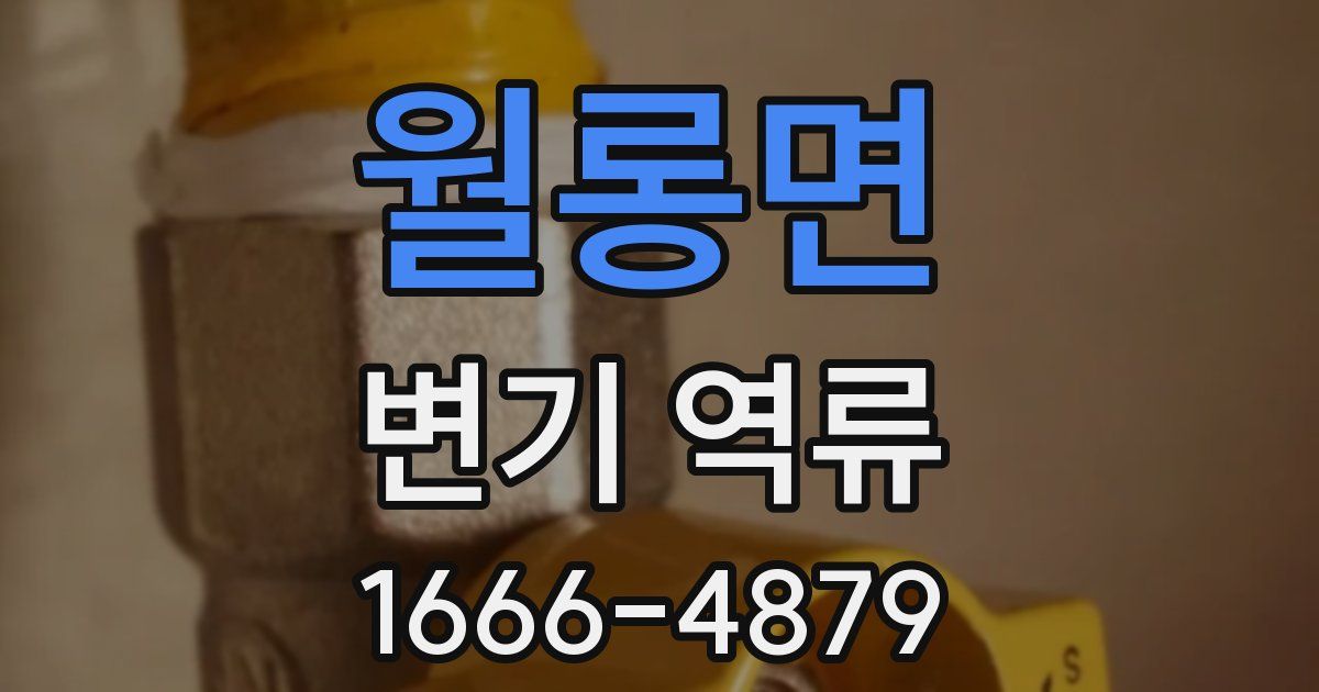 월롱면 변기 역류