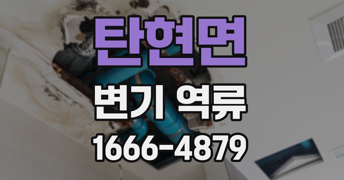 탄현면 변기 역류