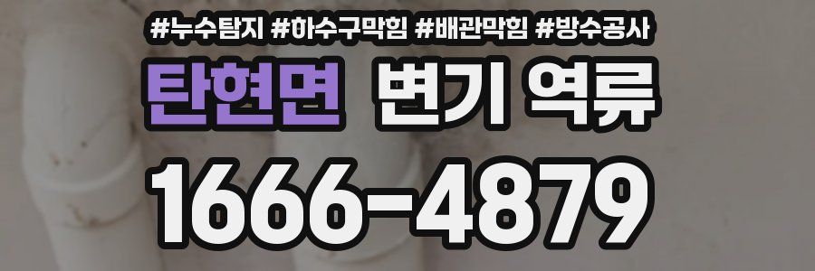 탄현면 변기 역류