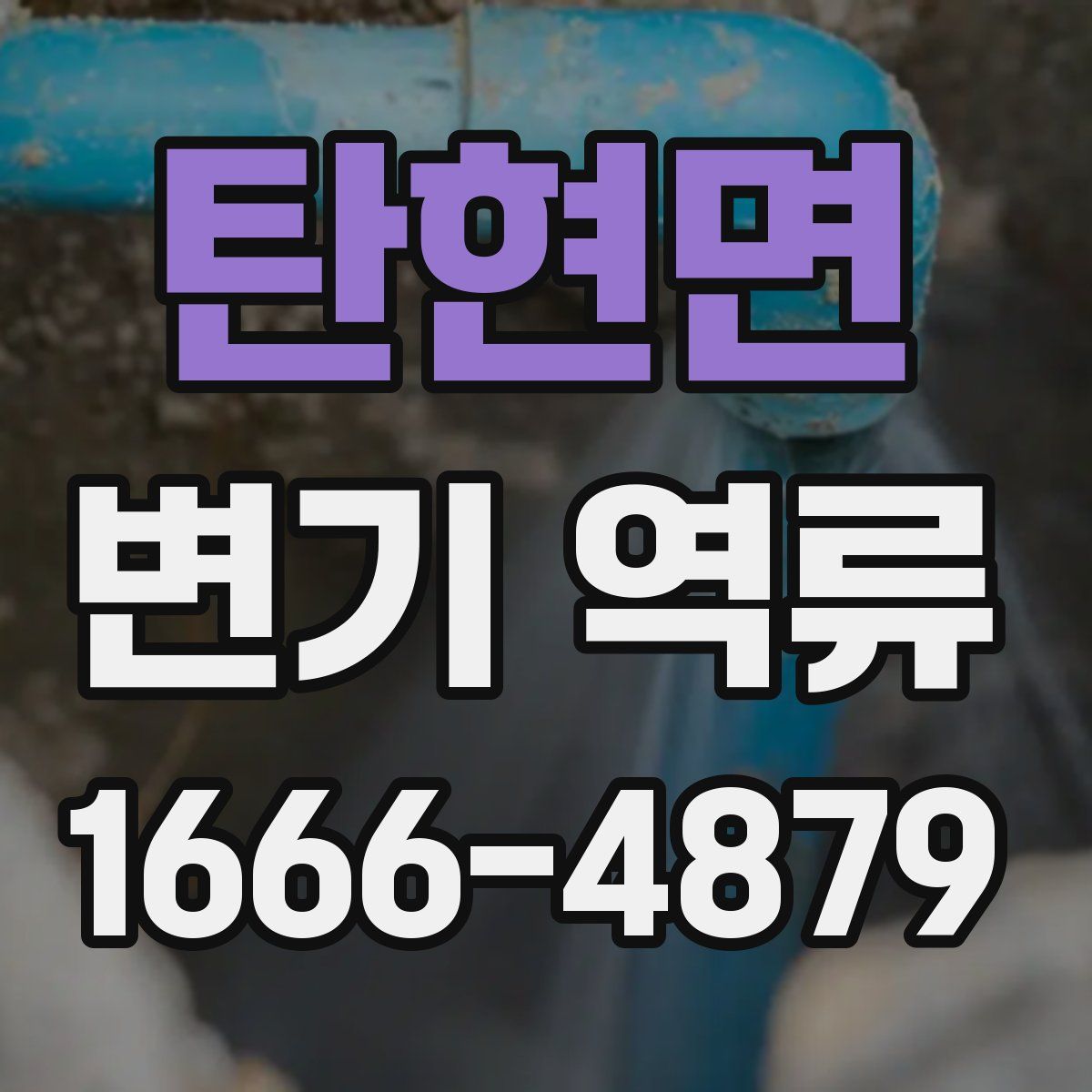 탄현면 변기 역류